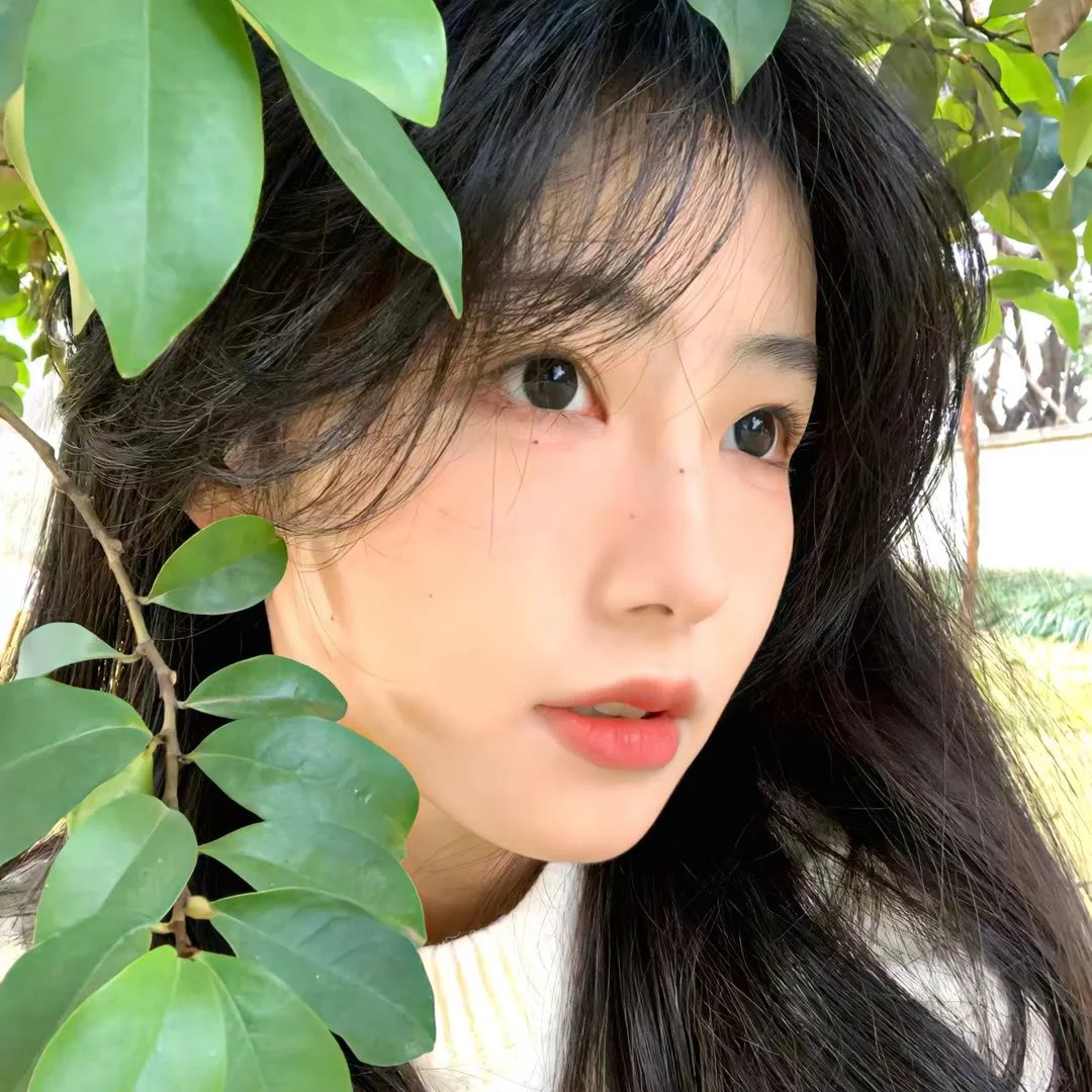 渺小而坚韧 海报