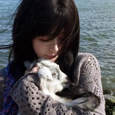 巴西香粉寮 海报